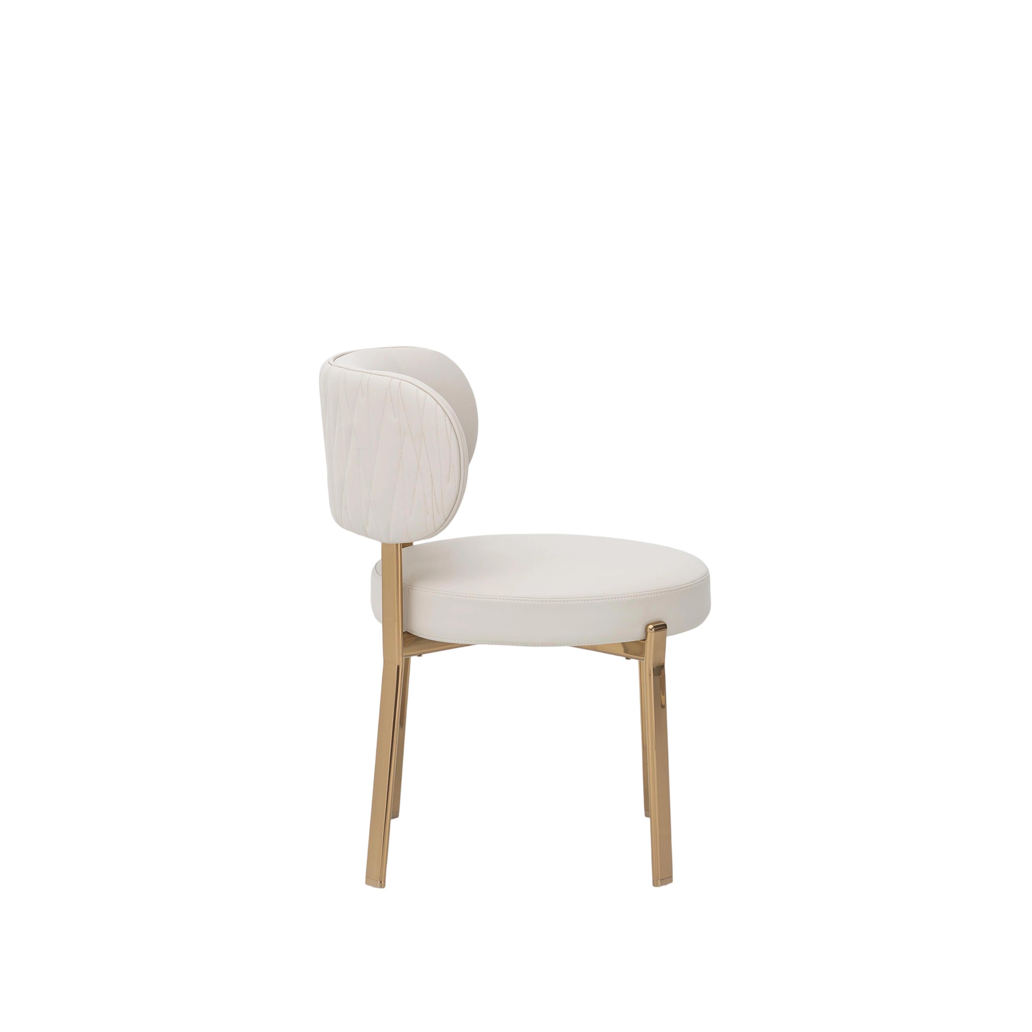 Dining Chair: Modern Elegance Meets Comfort