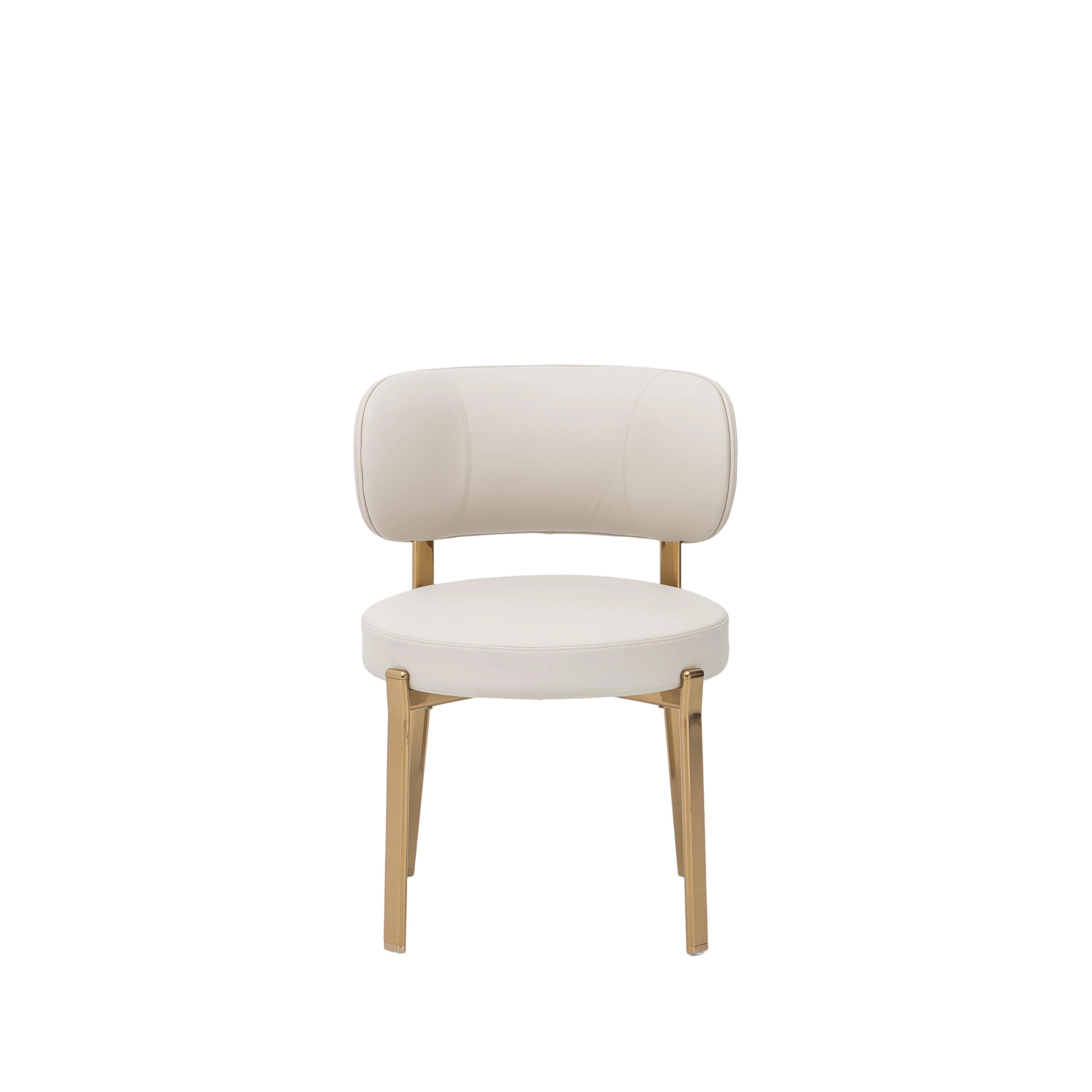 Dining Chair: Modern Elegance Meets Comfort