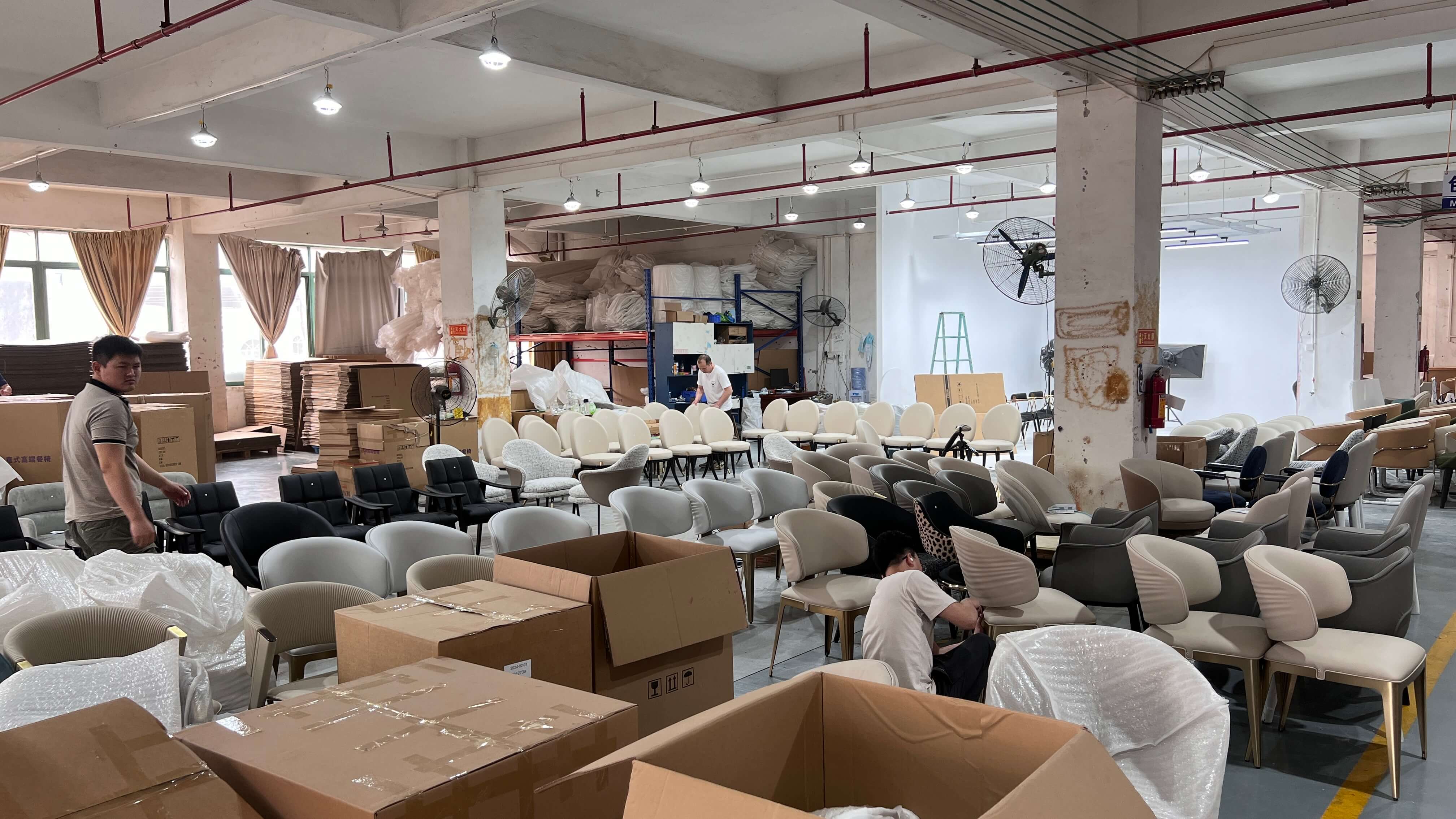 aeir head tilted. A bird cnd.